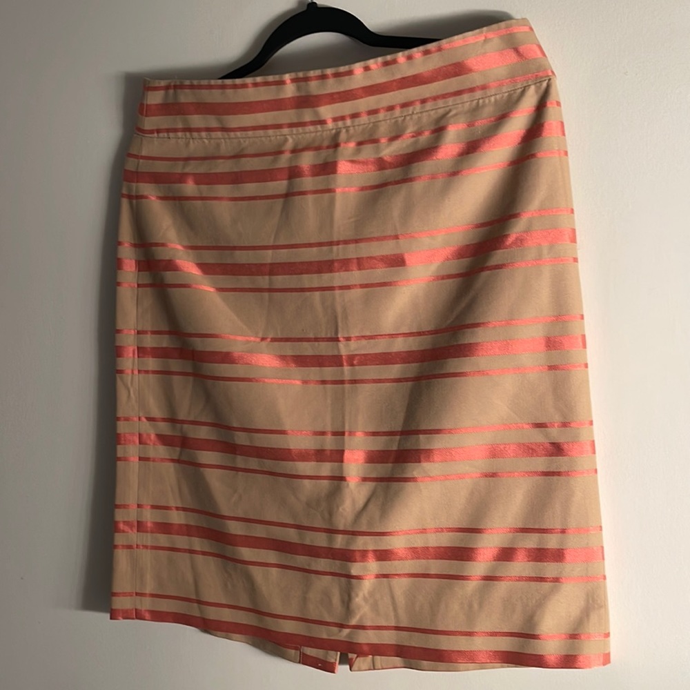 J Crew Skirt